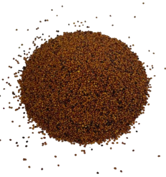 Balansa Clover