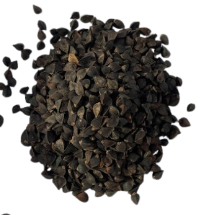 Buckwheat