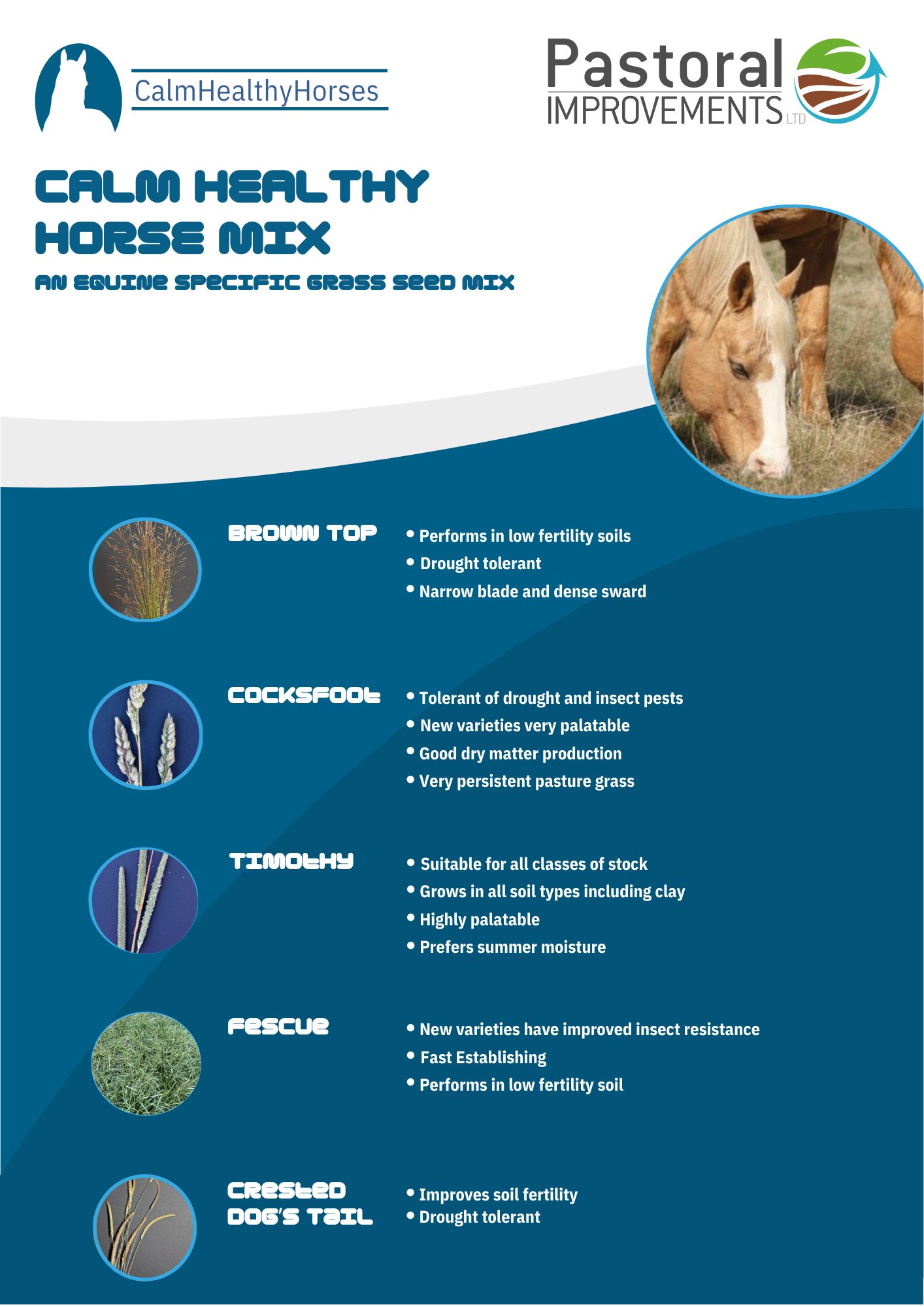Calm Healthy Horses Mix