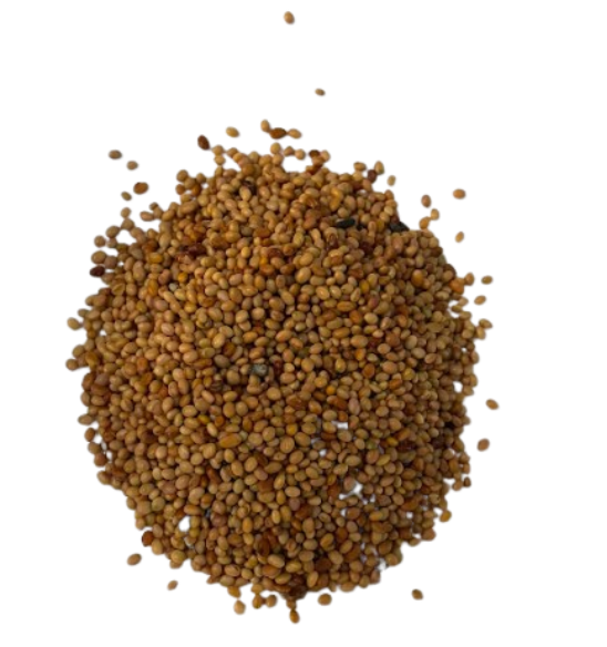 Captain Crimson Clover