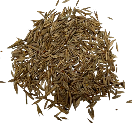 Perennial Orchard Mix