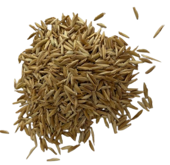 Prairie Grass