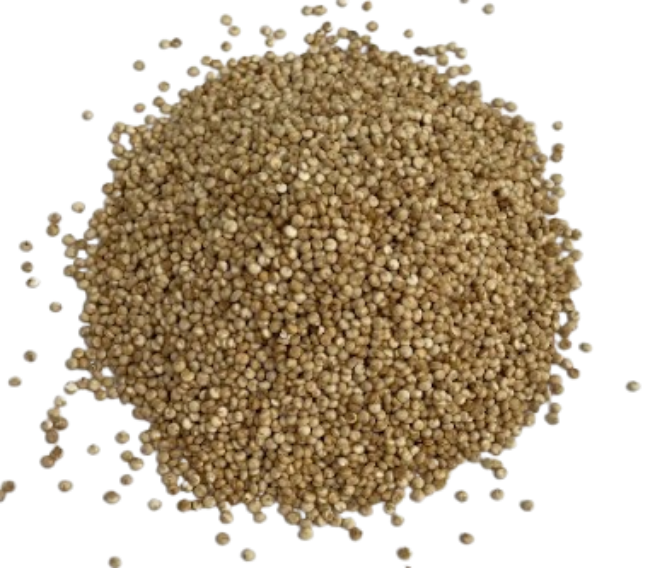 Quinoa