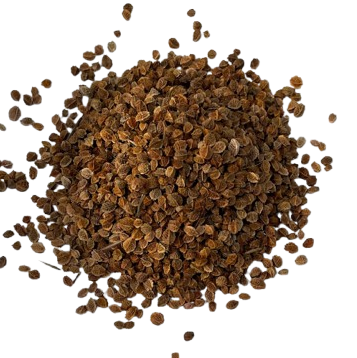 Sheeps Burnett