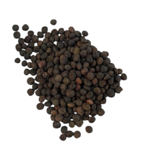 Vetch