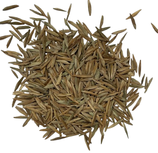Brome
