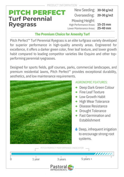 Pitch Perfect Turf Ryegrass