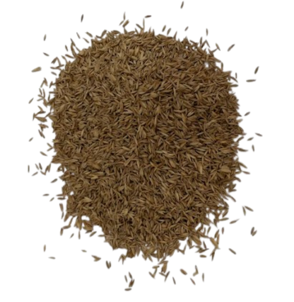 Cocksfoot