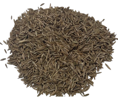 Nui Perennial Ryegrass
