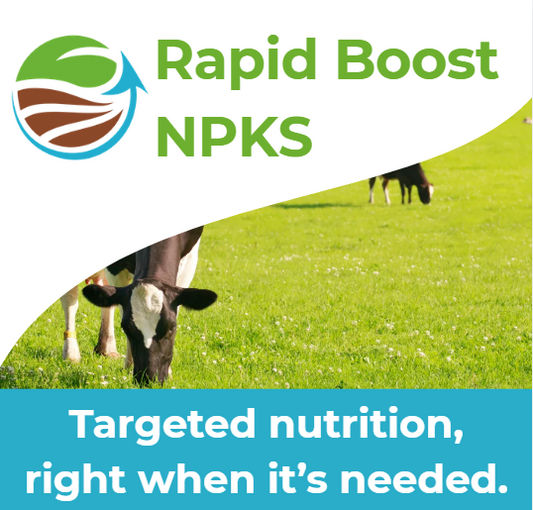 Rapid Boost NPKS